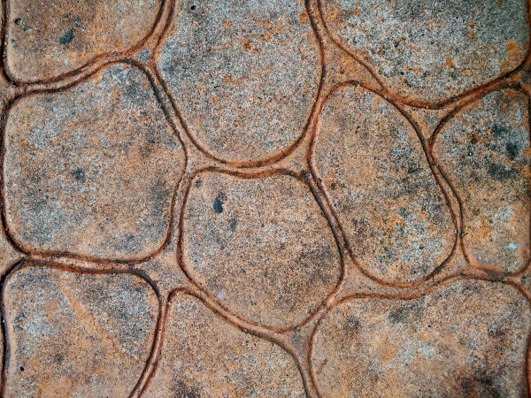 Cost of Stamped Concrete Replacement in Springdale