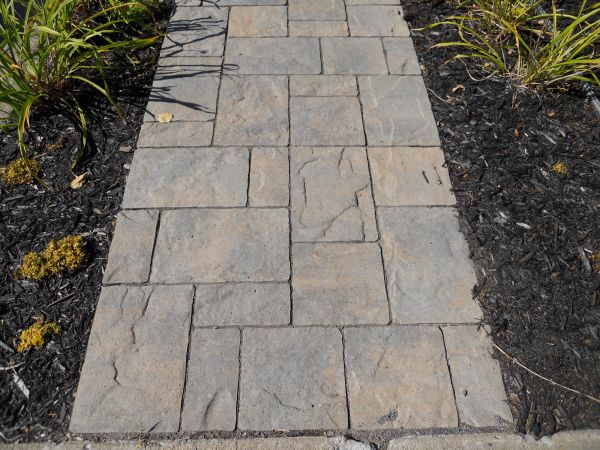 Stamped Concrete Staining in Springdale